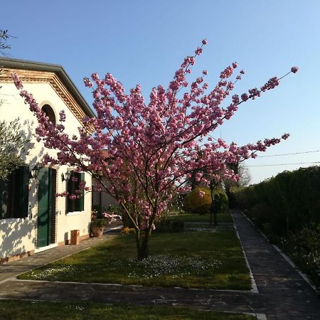 卡瓦利诺 Casa Pianta酒店 外观 照片